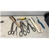Image 4 : Hand Tools; Saws, Files, Rasps, Screwdrivers, Hammers, Pliers, Manual Hand Drill