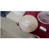 Image 4 : Four Antique Frosted Glass Ceiling Light Shades: Two with Floral Motifs, Two with Ribbed Designs