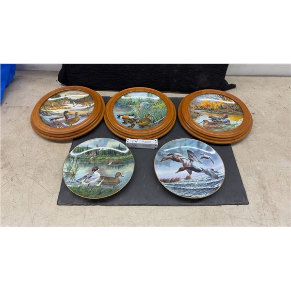Five Jerner's Beautiful Ducks Collector Plates Canvasback, Mallard, Wood Duck, Pintail, 3 in Wood