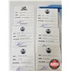 Image 2 : Vintage Oilers Collectors Group : Incl. - Training Camp Guides - Player Game Passes - Ticket - Sched