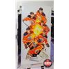 Image 14 : NHL Oilers Posters (28)  (Largest Measures : 36"H x 18"W)