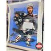 Image 3 : NHL Oilers Posters (28)  (Largest Measures : 36"H x 18"W)