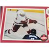 Image 2 : Framed & Matted Photo : BRETT HULL : Detroit Red Wings : 700th Goal : Feb 2003 (COA : The Highland M