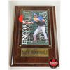 Image 9 : ALEX RODRIGUEZ COLLECTOR COMBO ! Framed & Matted Photo + Rookie Card + Card Plaque Mounted Alex Rodr