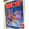 Image 12 : Hockey Posters (20) : New York Rangers (Variety)