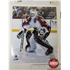 Image 3 : Hockey 8x10 Photos (4) : Colorado Avalanche - Patrick Roy (Certified NHL) - Paul Kariya - Marc Denis