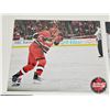 Image 10 : Hockey 8x10 Photos (10) : Variety - Jaroslav Svejkovsky - Brett Hull - Dean Heatley (Certified NHL) 