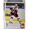 Image 3 : Hockey 8x10 Photos (10) : Variety - Jaroslav Svejkovsky - Brett Hull - Dean Heatley (Certified NHL) 