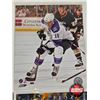 Image 6 : Hockey 8x10 Photos (10) : Variety - Jaroslav Svejkovsky - Brett Hull - Dean Heatley (Certified NHL) 