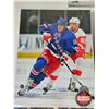 Image 9 : Hockey 8x10 Photos (10) : Variety - Jaroslav Svejkovsky - Brett Hull - Dean Heatley (Certified NHL) 