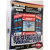 Image 11 : Hockey Posters (70+) : Oilers (Variety)