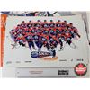 Image 32 : Hockey Posters (70+) : Oilers (Variety)