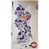 Image 34 : Hockey Posters (70+) : Oilers (Variety)