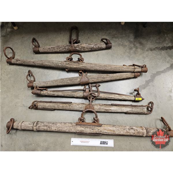 Single Trees (6) (Longest Measures : 48"L)