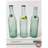 Image 1 : Aqua Embossed Bottles (3) : - The Empire Brewing Co. Ltd. - (2) Brandon Brewing Co. (All Measures : 