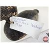 Image 10 : Wooden Duck Decoy (Consignor Tag - Working Blue Bill Drake 1920)  (Measures : 6"H x 5"W x 15"L)