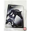 Image 9 : THE TRAIL OF PAINTED PONIES Figurine : Ebony in Harmony (Artist : Lorna Matsuda) (Box Measures : 8"H