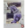 Image 11 : THE TRAIL OF PAINTED PONIES Figurine : Storm Rider (Artist : Rod Barker & Lauren Reeser) (Box Measur