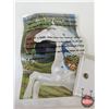 Image 11 : THE TRAIL OF PAINTED PONIES Figurine : Appaloosa Peacock (Artist : Lynn Bean) (Box Measures : 9"H x 