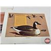 Image 17 : Vintage Hunting/Outdoorsman Combo (40 pcs total) : Remington Waterfowl Prints; 1960's Sask Hunting R