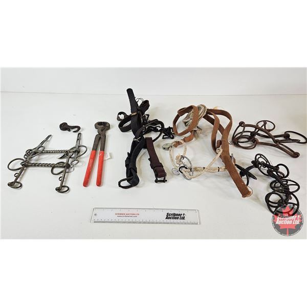 Horse Tack Combo : Bits ; Rope Halter ; Hoof Trimmers ; Leather Straps