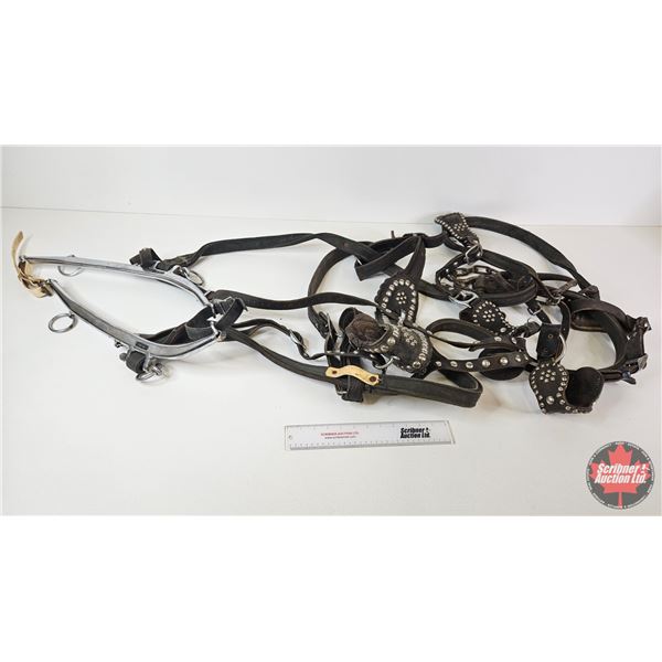 Single Horse Show Harness