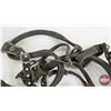 Image 5 : Single Horse Show Harness