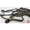 Image 6 : Single Horse Show Harness