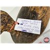 Image 15 : Wooden Duck Decoy (Consignor Tag - Working Black Glass Eyes From Lake St.Peter 1920)  (Measures : 6"