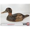 Image 2 : Wooden Duck Decoy (Consignor Tag - Working Black Glass Eyes From Lake St.Peter 1920)  (Measures : 6"