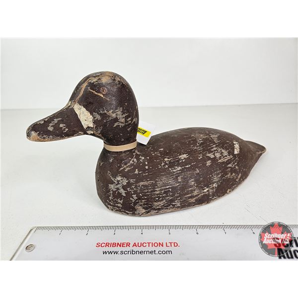 Wooden Duck Decoy (Consignor Tag - Working Blue Bill Hen Painted Eyes From Verdun, PQ 1920's)  (Meas