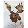 Image 2 : Vintage Moose Head Wall Ornament : Made in France : Moulded Plastic (Measures : 14"H)