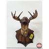 Image 4 : Vintage Moose Head Wall Ornament : Made in France : Moulded Plastic (Measures : 14"H)