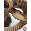 Image 8 : Vintage Ram Wall Ornament : Made In France : Moulded Plastic (Measures : 10"H x 8-1/2"W x 7"D)