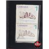 Image 4 : RCM Canada 2005 $5 Limited-Edition Stamp & Fine Silver Coin Set : The Atlantic Walrus and Calf (S/N#