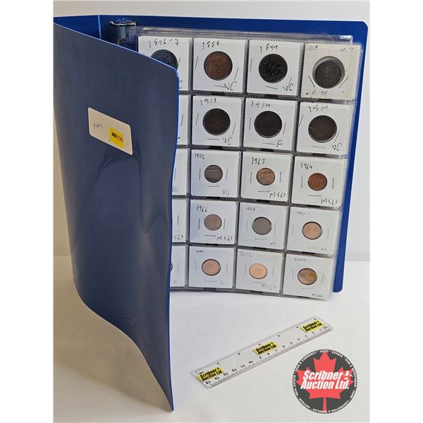 Binder Lot - Junior Collector Starter Kit (Canada Bills & Coins & USA Coins): - Sheet 1 : Canada Lar