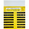 Image 3 : Lot of Fanuc Modules
