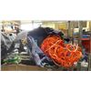 Image 3 : (2) CANVAS BAGS OF NETTING