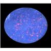 Image 1 : 2.51ct Australian Black Opal Doublet Full Fire (GEM-22624C)