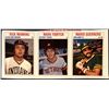 Image 1 : 1979 HOSTESS BASEBALL PANEL - MARK FIDRYCH