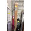 Image 1 : STIHL PP900 POLE PRUNER SET