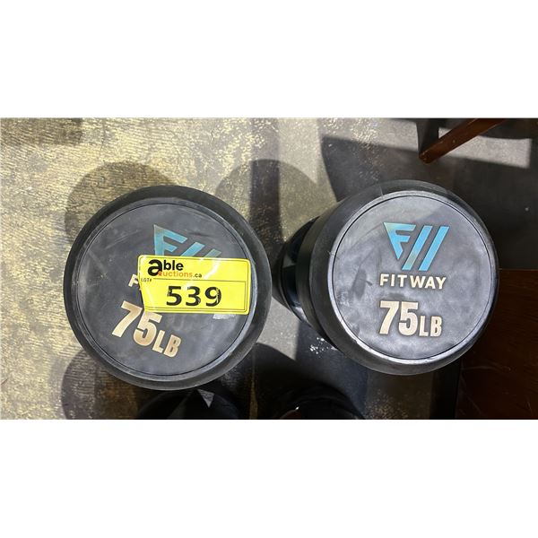 FITWAY 75 LB ROUND PRO-STYLE RUBBER COATED DUMBBELLS