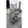 Image 2 : METAL 2-TIER 4-WHEEL LADDER HANDLE PUSH CART
