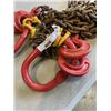 Image 2 : 2 FT CHAINS W/ HOOKS