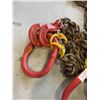 Image 3 : 2 FT CHAINS W/ HOOKS