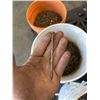 Image 5 : 3 BUCKETS OF NAILS VARIOUS SIZES