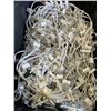 Image 2 : 2 BINS OF LED LIGHTS AND BIN OF LED LIGHT ACCESSORIES