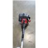 Image 4 : TROY-BUILT WEED WACKER