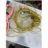 Image 2 : 3 EXTENSION CORDS - 8', 30' AND 60'