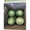 Image 3 : BOCCEE BALL SET IN CASE